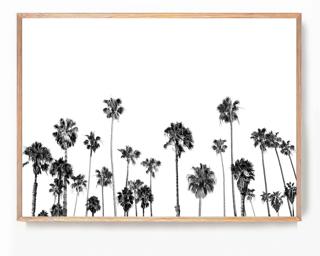 Palm Tree Wall Art, Tropical Black White, California Palms, Beach Art Print, Large Modern Palms, Summer Giclee Poster, Palms Trees Print Art