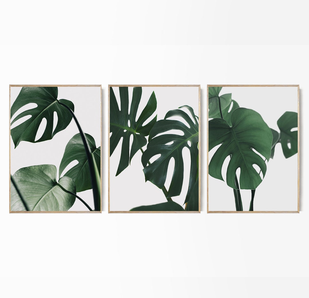 Monstera Leaves Set 3 Print Tropical Leaf Poster Triptych Monstera ...