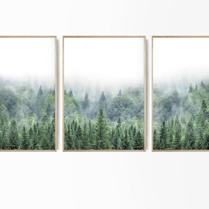 Wald Set 3 Drucke Natur Fotografie Giclee Wald Druck Skandinavischer Druck 3 Stück Wald Foto Nebliger grüner Wald Poster Kiefer Bäume Set