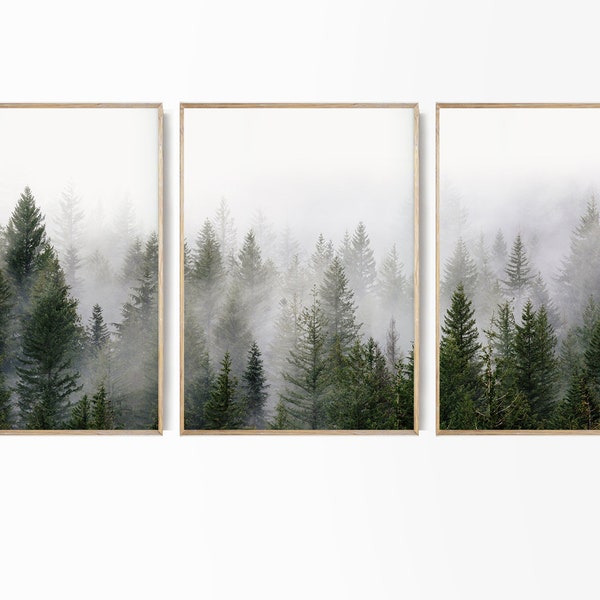 Forest Print, Set of 3 Print, Foggy Nature Poster Forest 3 Piece Set Nordic Photography Misty Forest Photo Foggy Landscape Large Fog Forest