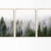 Forest Print, Set of 3 Print, Foggy Nature Poster Forest 3 Piece Set Nordic Photography Misty Forest Photo Foggy Landscape Large Fog Forest 