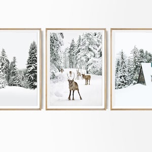Winter set of 3 Snowy Trees Poster Reindeer Photo 3 Piece Winter Print Chalet Poster Modern Winter Holidays Print Moose Print Snowy Trees