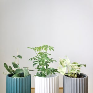 6&quot; Geometric Planter Pot | Nordic Style Planter | Modern and Minimalist Pot | 15cm Planter | Home Decor | Matte Finish Ceramic Pot