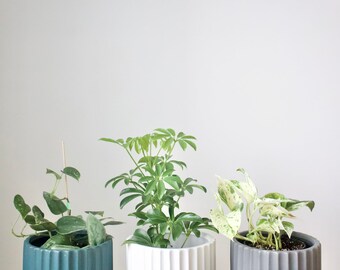 6&quot; Geometric Planter Pot | Nordic Style Planter | Modern and Minimalist Pot | 15cm Planter | Home Decor | Matte Finish Ceramic Pot
