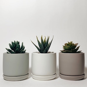3-inch Succulent Ceramic Plant Pot with Saucer | Modern Mini Planters | Indoor Planter | Indoor Pot | Matte Finish Ceramics