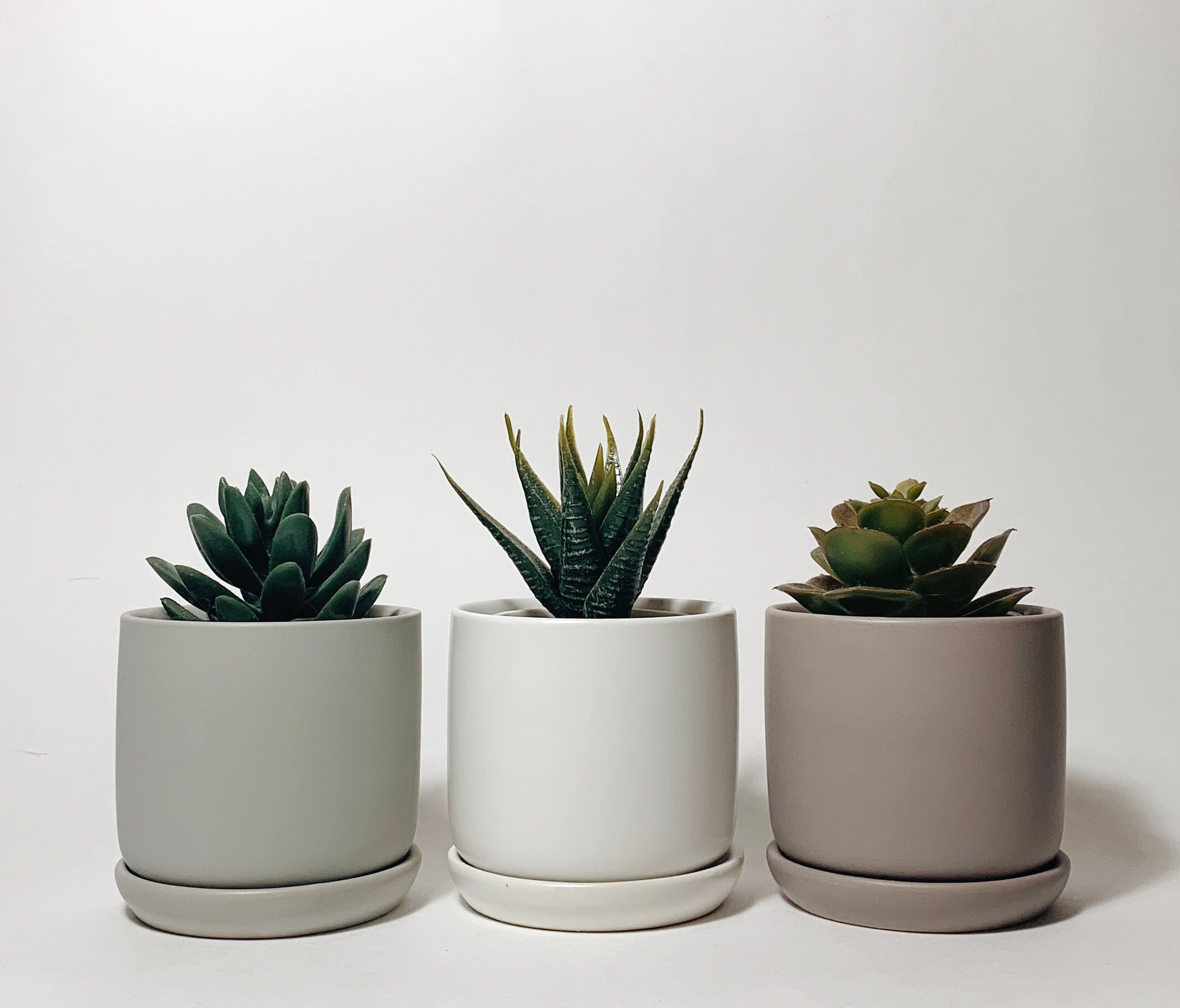 3-inch Succulent Ceramic Plant Pot with Saucer | Modern Mini Planters | Indoor Planter | Indoor Pot | Matte Finish Ceramics