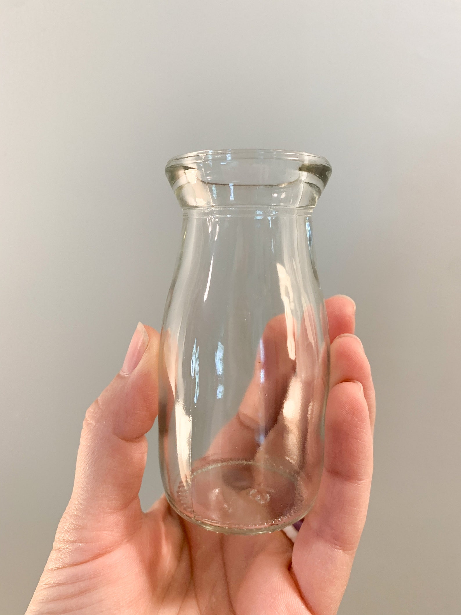 Plant propagation jar for cuttings with LECA included Etsy