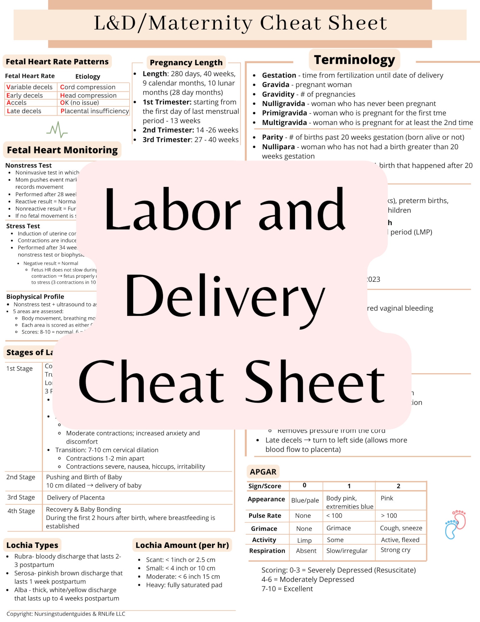 Maternity Chart.pdf L&D Maternity Nursing Cheat Sheet: OB Study Guide (PDF) - Etsy