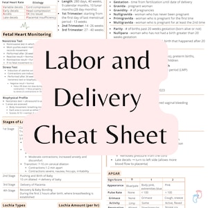 L&D Maternity Nursing Cheat Sheet: OB Study Guide (PDF) - Etsy