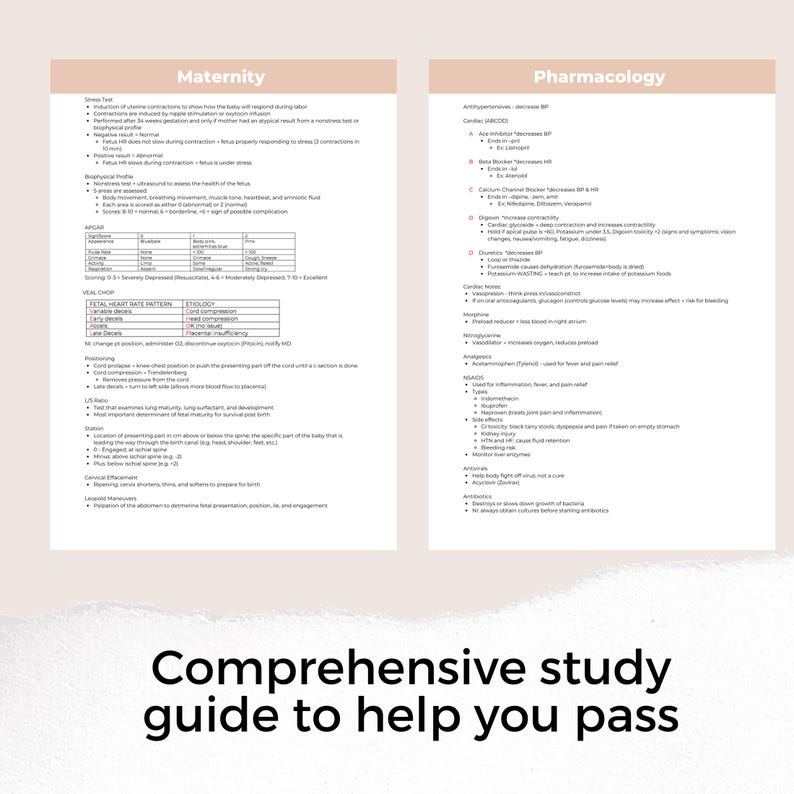 NCLEX Study Guide: 2026 Edition, Nursing Exam Prep (digital Download ...