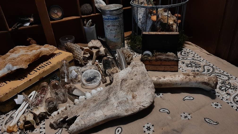 Mystery Box Goblincore / Vulture Culture