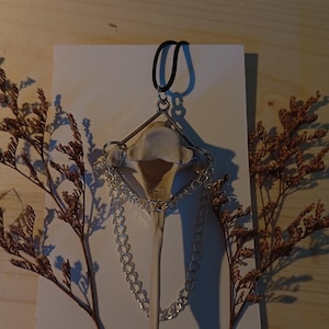 deer vertebra necklace