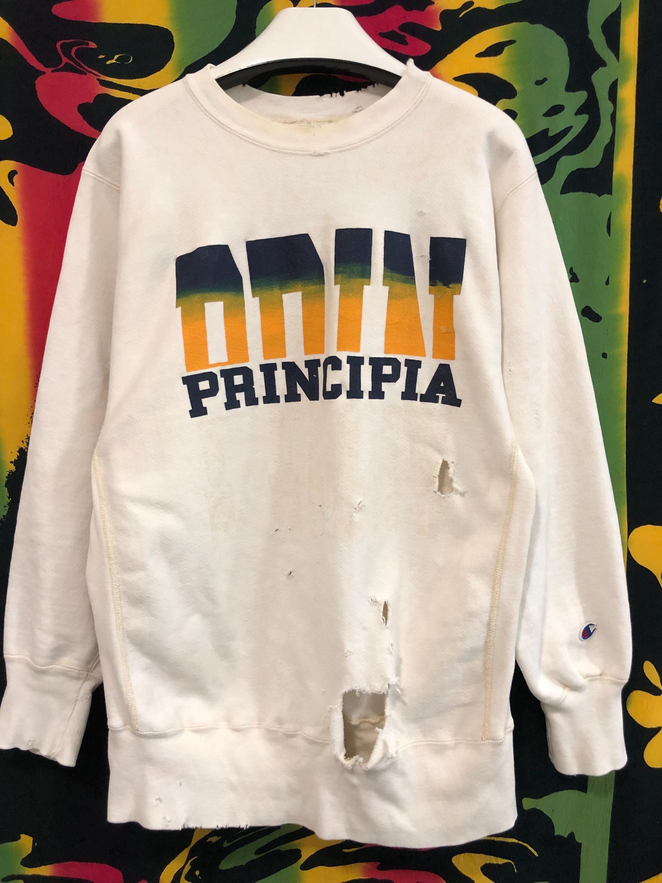 Vintage 80's Champion Reverse Weave Trashed Sweatshirt