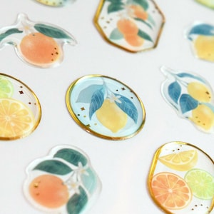May include: A set of clear stickers featuring various citrus fruits, including lemons, limes, and oranges. The stickers have a watercolor-like design with gold accents and are perfect for adding a touch of whimsy to planners, journals, or other craft projects.
