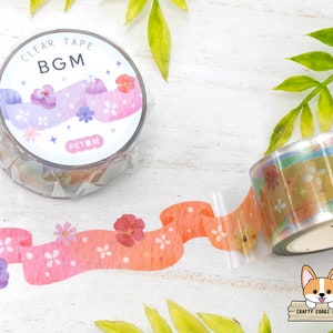 1 roll | 20mm | BGM | Clear PET Tape | Rainbow Ribbon