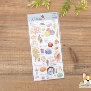 1 sheet | Kamio | ADULT VISUAL DICTIONARY Gold Foil Crepe Stickers | Shells & Corals