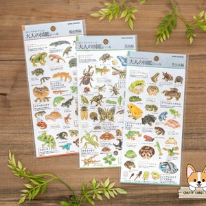 1 sheet | Kamio | ADULT VISUAL DICTIONARY Gold Foil Crepe Stickers | Reptile - Insect - Frog