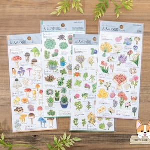 1 feuille | Kamio | DICTIONNAIRE VISUEL POUR ADULTES Stickers dorés en crêpe | Champignon - Plantes grasses - Herbe - Fleur