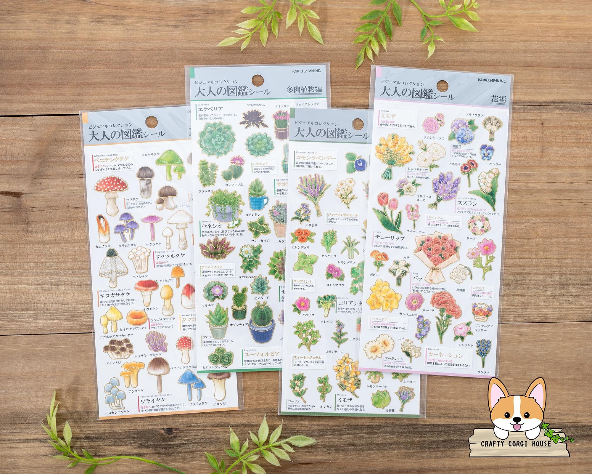 1 Sheet | Kamio | ADULT VISUAL DICTIONARY Gold Foil Crepe Stickers