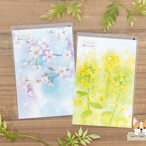 v | NB x Keiko Wakaba | Cartes postales printanières CREALD | Sakura (fleur de cerisier) - Nanohana (fleur de colza)