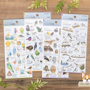 1 sheet | Kamio | ADULT VISUAL DICTIONARY Gold Foil Crepe Stickers | Parakeet - Bird - Owl - Shima Enaga