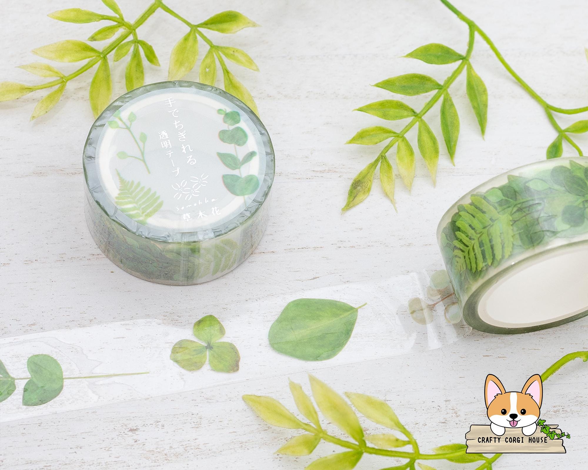 Nastro Per Piante Da Giardino 30m - 2 Rotoli (Verde Chiaro E Scuro) - Autoadesivo E Regolabile - Legatura Morbida Per Fiori, Viti E Alberi - 3