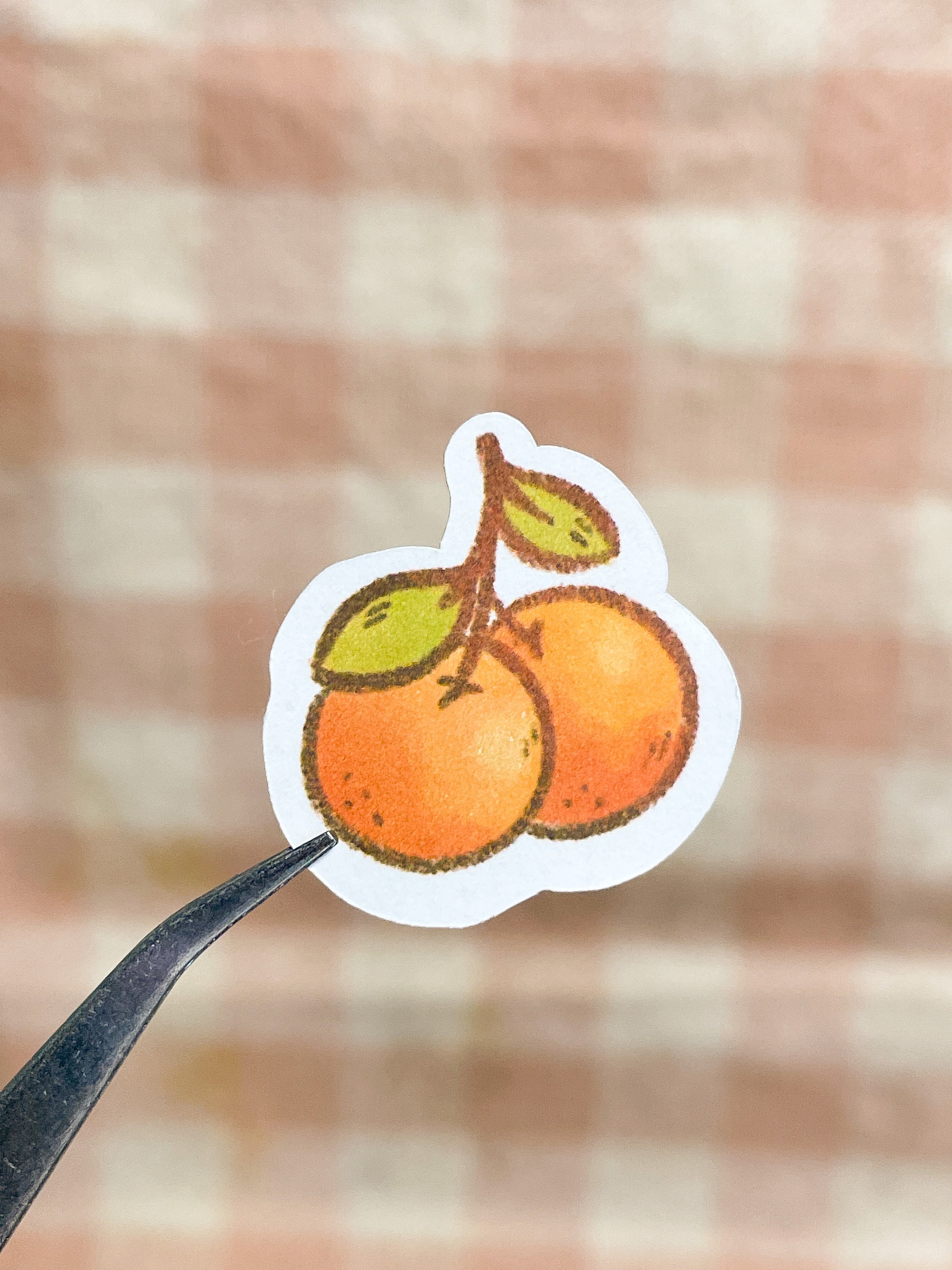 Spring Time Sticker Sheet Cute Sticker Sheet Spring Picnic - Etsy