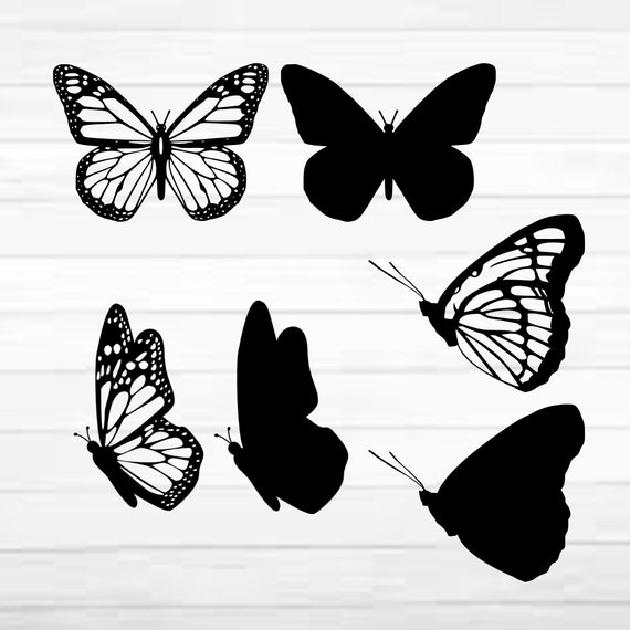 Download Layered Butterfly Bundle Cricut SVG Files Butterflies | Etsy