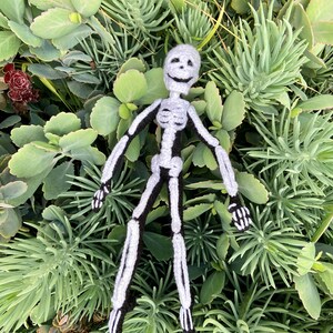 May include: A crocheted skeleton toy with a smiling face, lying on a bed of green succulents.