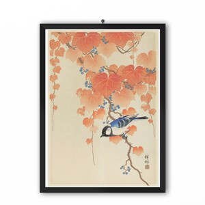 Shoson Ohara Ukiyo e Prints Bird and Red Ivy by Shoson Ohara Ukiyo-e Vintage Poster, Art Print Poster, Japanese Woodblock Prints