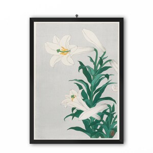Shoson Ohara Ukiyo e Prints Lily by Shoson Ohara Ukiyo-e Vintage Poster, Art Print Poster, Japanese Woodblock Prints, Japan Woodblock Print
