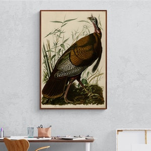 Audubon Wild Turkey art print, Birds of America, Vintage bird painting, Wild Turkey wall art, Antique bird illustration, Natural Art print