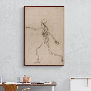 Anatomical Exposition of the Structure of the Human Body, Antique Anatomical Illustration Prints Wall Art, Human Skeleton, Lateral View