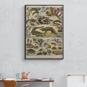 Adolphe Millot Prints, Reptiles Chart Print, Adolphe Millot Vintage Reptiles Poster Art, Reptiles Illustration, Reptiles , Animal Poster Art