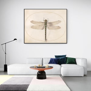 Vintage Dragonfly Illustration, Incests Print, Dragonfly Scientific Drawing Canvas Wall Art Home Decor