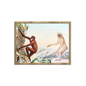 The Siamang Gibbon by Aloys Zötl, Monkey Painting, Vintage Natural History Illustration, Folk Art Style Animal Canvas Print Wall Art