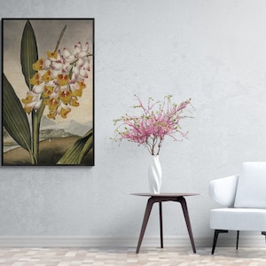 Temple of Flora by Robert John Thornton, Alpinia zerumbet Shell Plant Vintage Floral Painting Canvas Wall Art Plant Poster, Botanical Poster
