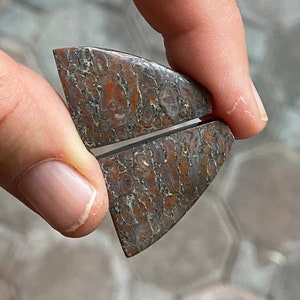 Dinosaur Bone Pair Cabochons 48.44ct