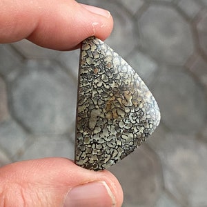 Dinosaur Bone Cabochon 35.20ct