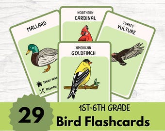 Backyard Bird Flashcards Printable Bird ID Cards Nature Learning Montessori Homeschool Curriculum Instant Download