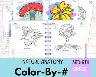 Color By Number Coloring Sheets for Kids Printable Nature Study Outdoor Learning Montessori Homeschool Unit Study Instant Download