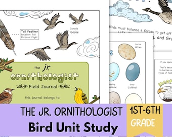 Bird Unit Study Printable for Kids Nature Curriculum Outdoor Learning Montessori Homeschool Resources Instant Download