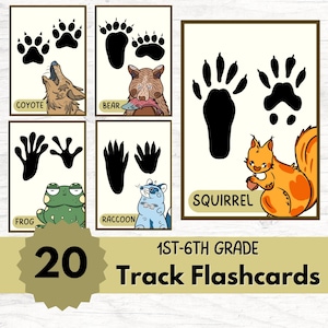 Animal Track Flashcards: Nature Learning for Kids, Montessori Homeschool (PDF Download)