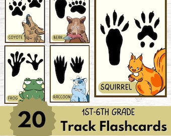 Tarjetas didácticas de huellas de animales: Aprendizaje de la naturaleza para niños, educación Montessori en casa (Descargar PDF)