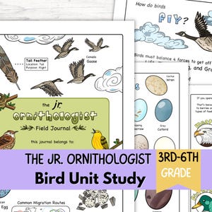 May include: A colorful educational poster titled "THE JR. ORNITHOLOGIST Bird Unit Study" for 3rd-6th grade. The poster features illustrations of birds, eggs, and diagrams about flight, migration, and bird anatomy. Includes text: "How do birds fly?"