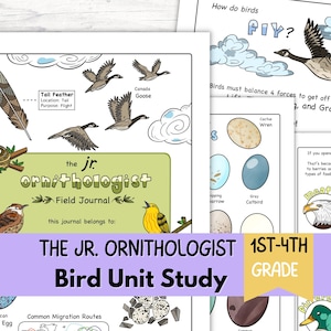 Quaderno di studio naturalistico stampabile sugli uccelli per bambini - Attività di birdwatching - Apprendimento Montessori per l'homeschooling (Download PDF)