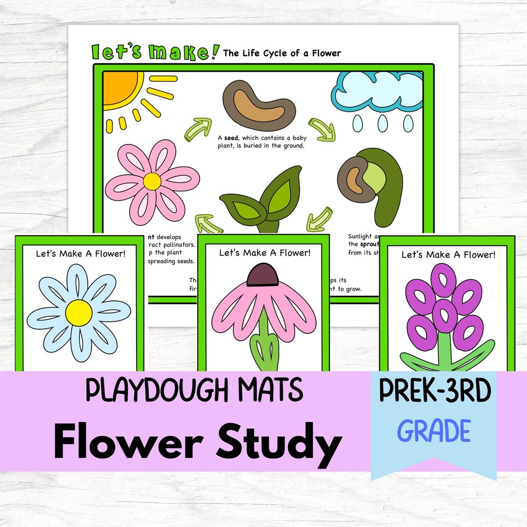 Flower Playdough Mats for Kids Themed Flower Unit Study Fine Motor ...