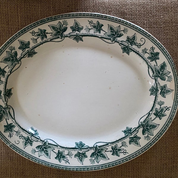 Wedgwood Ivy Pattern Etsy