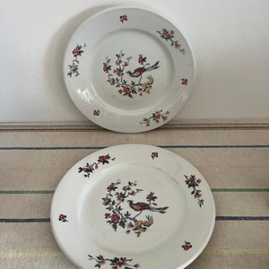 Porcelain pyroblan - Etsy 日本