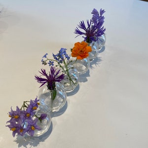 Puede incluir: Un florero de vidrio transparente con seis cámaras esféricas conectadas, cada una con un tipo diferente de flor. Las flores incluyen flores moradas, azules y naranjas, dispuestas sobre una superficie blanca.